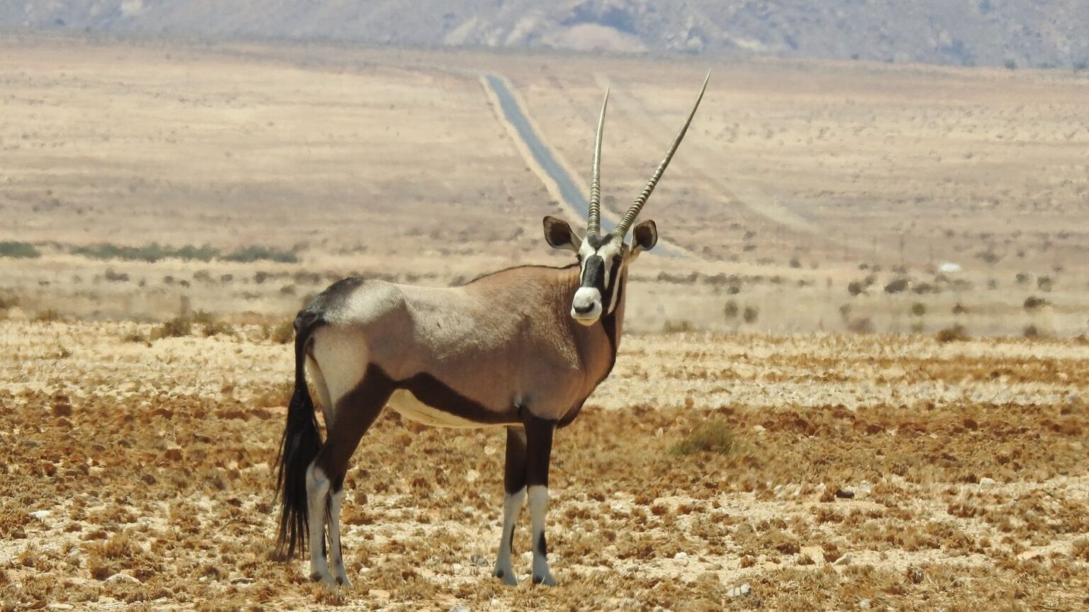 Namibia-Rundreise planen: Route, Reisezeit und praktische Tipps